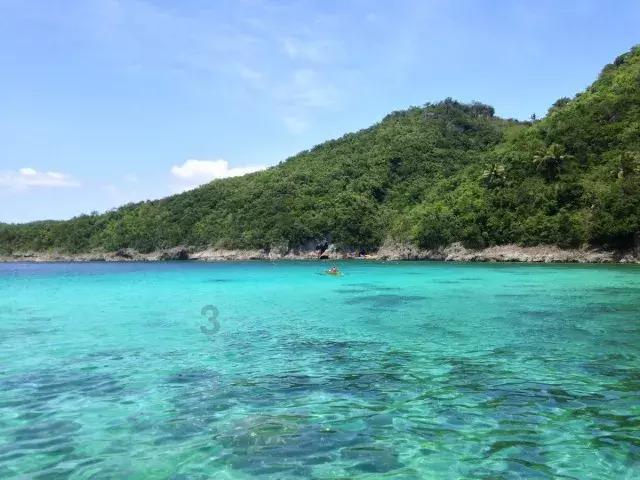 “村企共建”铺就乡村振兴路